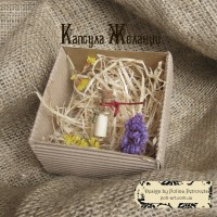 "Капсула Бажань"